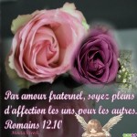 Romains12.10-amour-fraternel